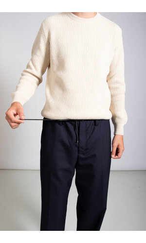 Dries van Noten Dries van Noten Hose / Penny / Navy