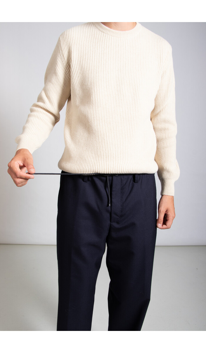 Dries van Noten Dries van Noten Hose / Penny / Navy