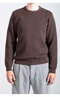 Nitto Trui / Youri Col / Bruin