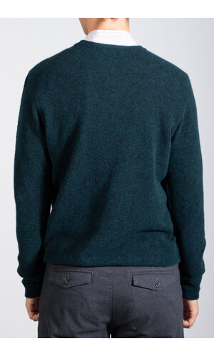 Roberto Collina Roberto Collina Pullover / 253M14001 / Sumpf