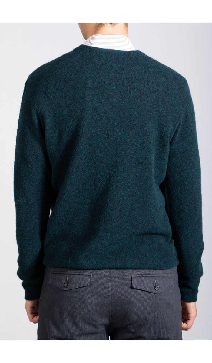 Roberto Collina Roberto Collina Pullover / 253M14001 / Sumpf