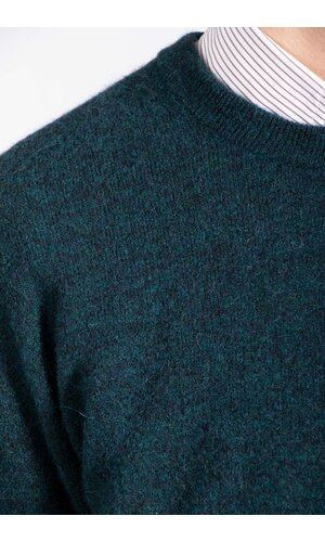 Roberto Collina Roberto Collina Pullover / 253M14001 / Sumpf