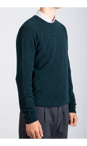 Roberto Collina Roberto Collina Pullover / 253M14001 / Sumpf