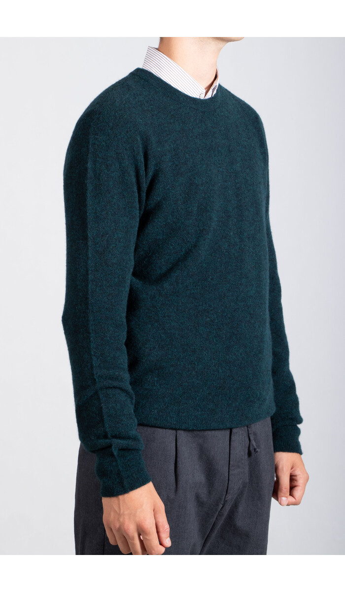Roberto Collina Roberto Collina Pullover / 253M14001 / Sumpf