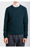 Roberto Collina Pullover / 253M14001 / Sumpf