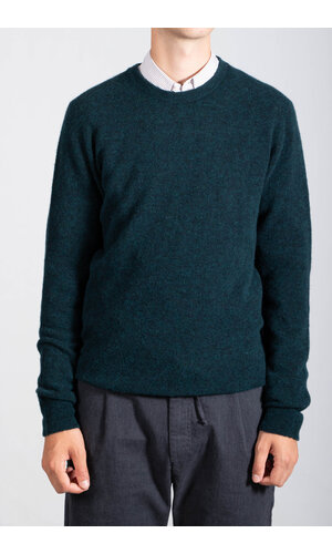 Roberto Collina Roberto Collina Pullover / 253M14001 / Sumpf