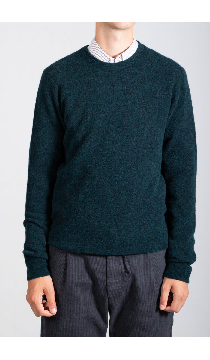 Roberto Collina Roberto Collina Pullover / 253M14001 / Sumpf