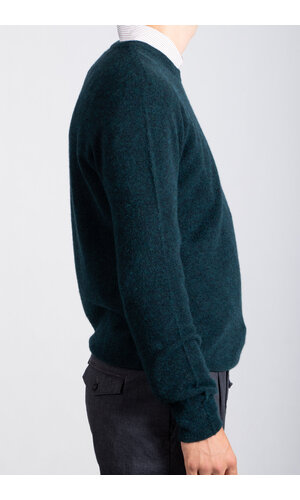 Roberto Collina Roberto Collina Pullover / 253M14001 / Sumpf