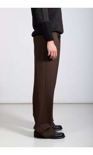 Dries van Noten Dries van Noten Hose / Penrud / Schlamm