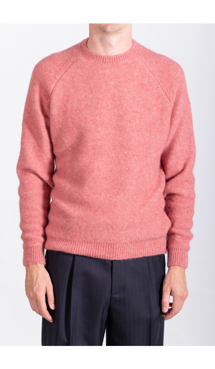 Homecore Homecore Sweater / Baby Brett / Pink