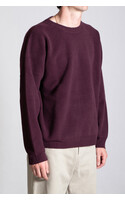 Roberto Collina Sweater / 253M19001 / Bordeaux