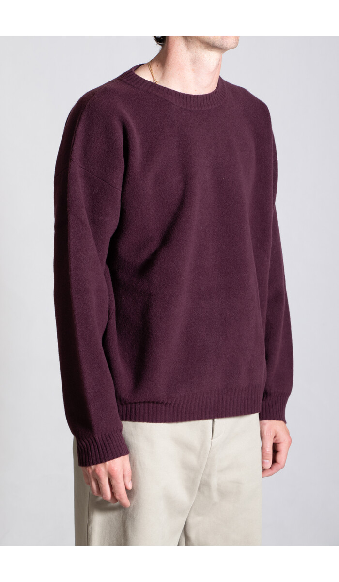 Roberto Collina Roberto Collina Trui / 253M19001 / Bordeaux Roberto Collina Roberto Collina Trui / 253M19001 / Bordeaux