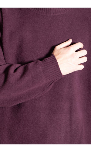 Roberto Collina Roberto Collina Trui / 253M19001 / Bordeaux Roberto Collina Roberto Collina Trui / 253M19001 / Bordeaux