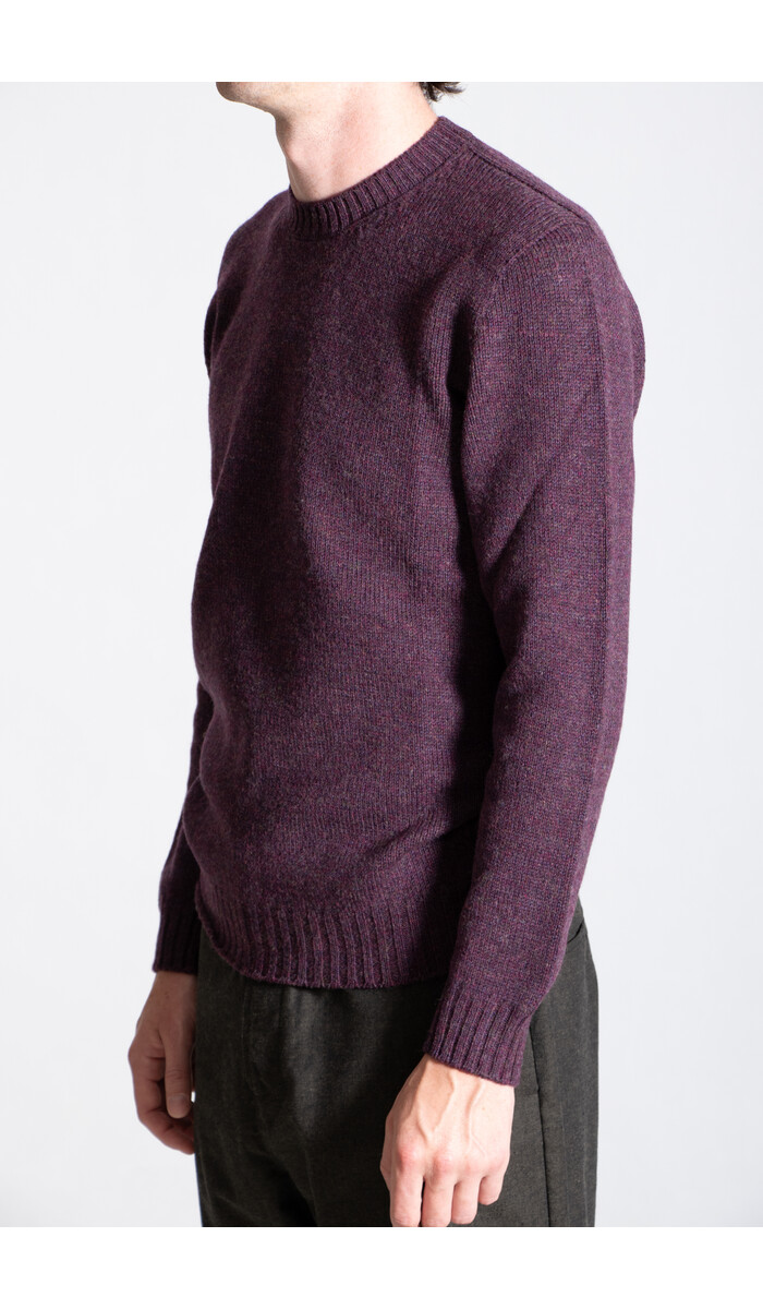 Scaglione Scaglione Pullover / UDM100 / Wein