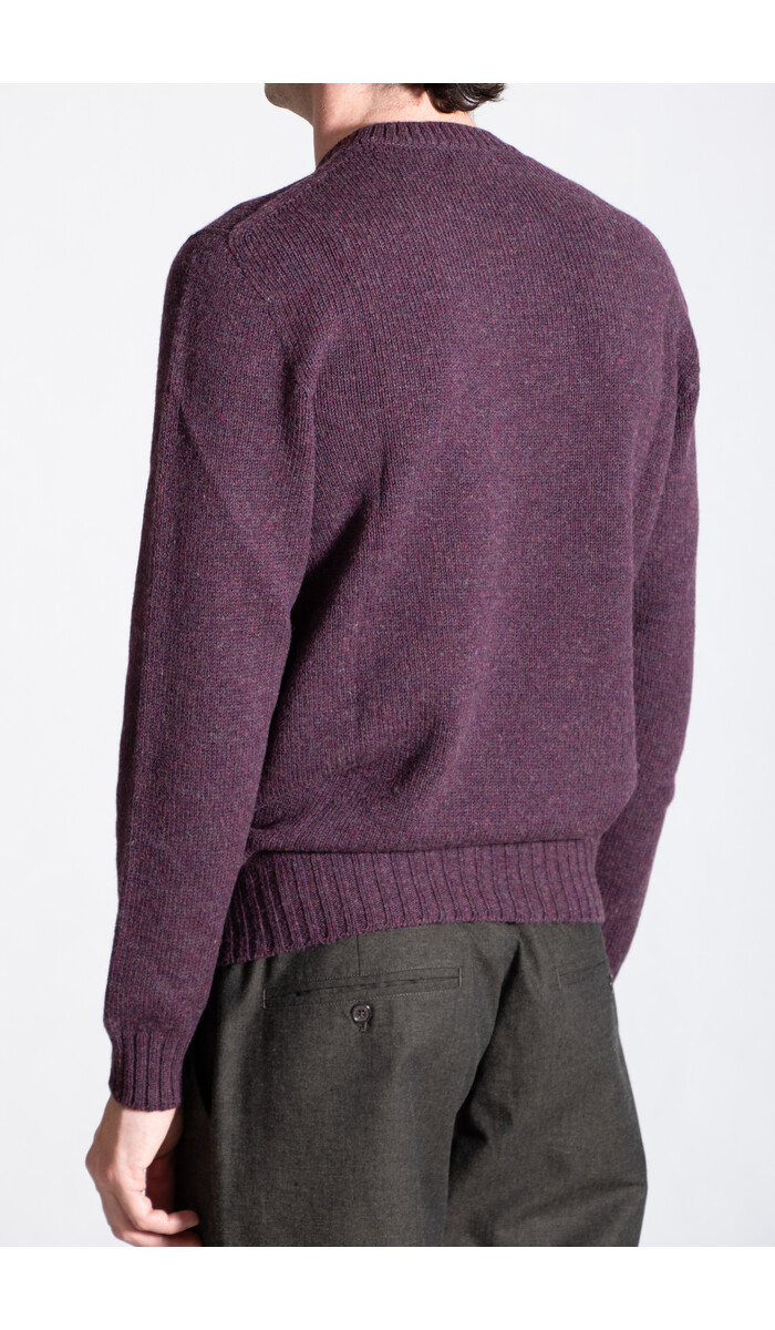 Scaglione Scaglione Pullover / UDM100 / Wein