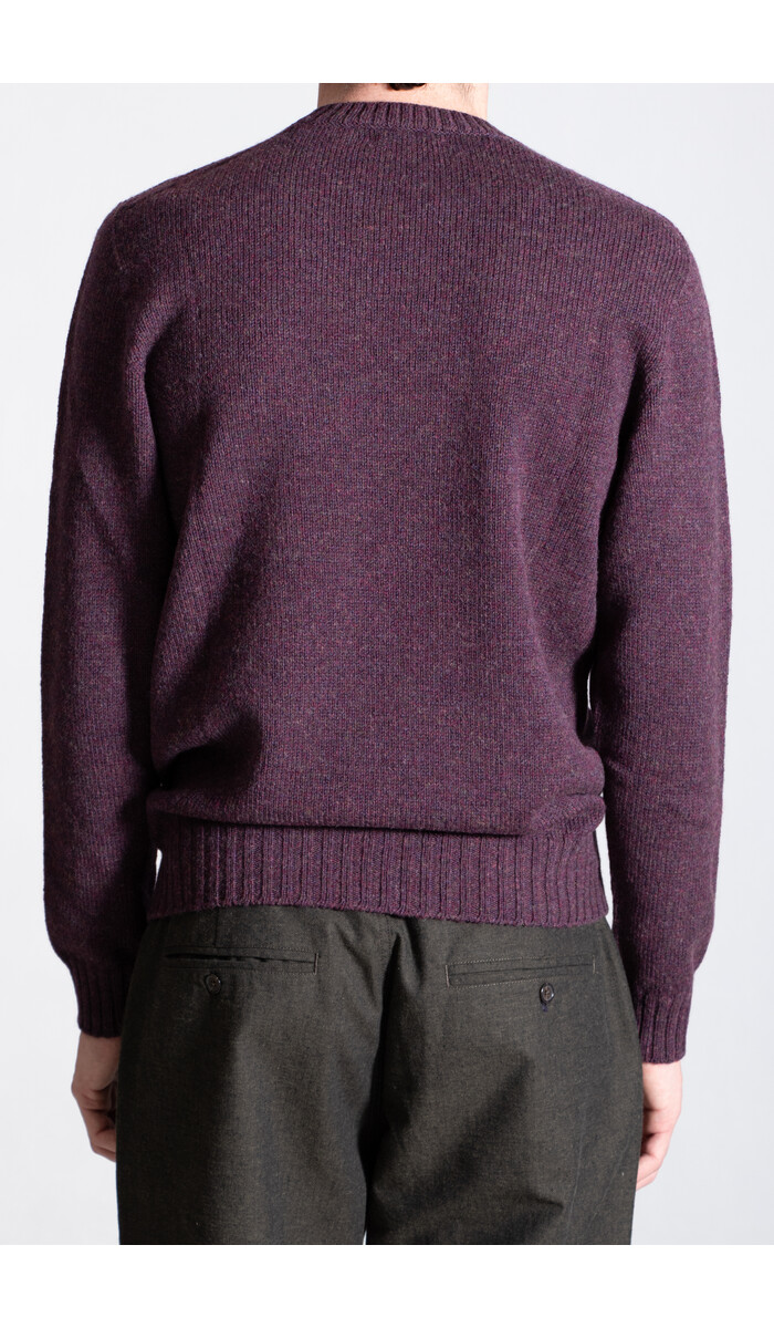 Scaglione Scaglione Pullover / UDM100 / Wein