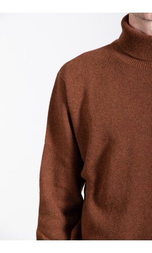 Parages Parages Turtleneck / Michel / Rust