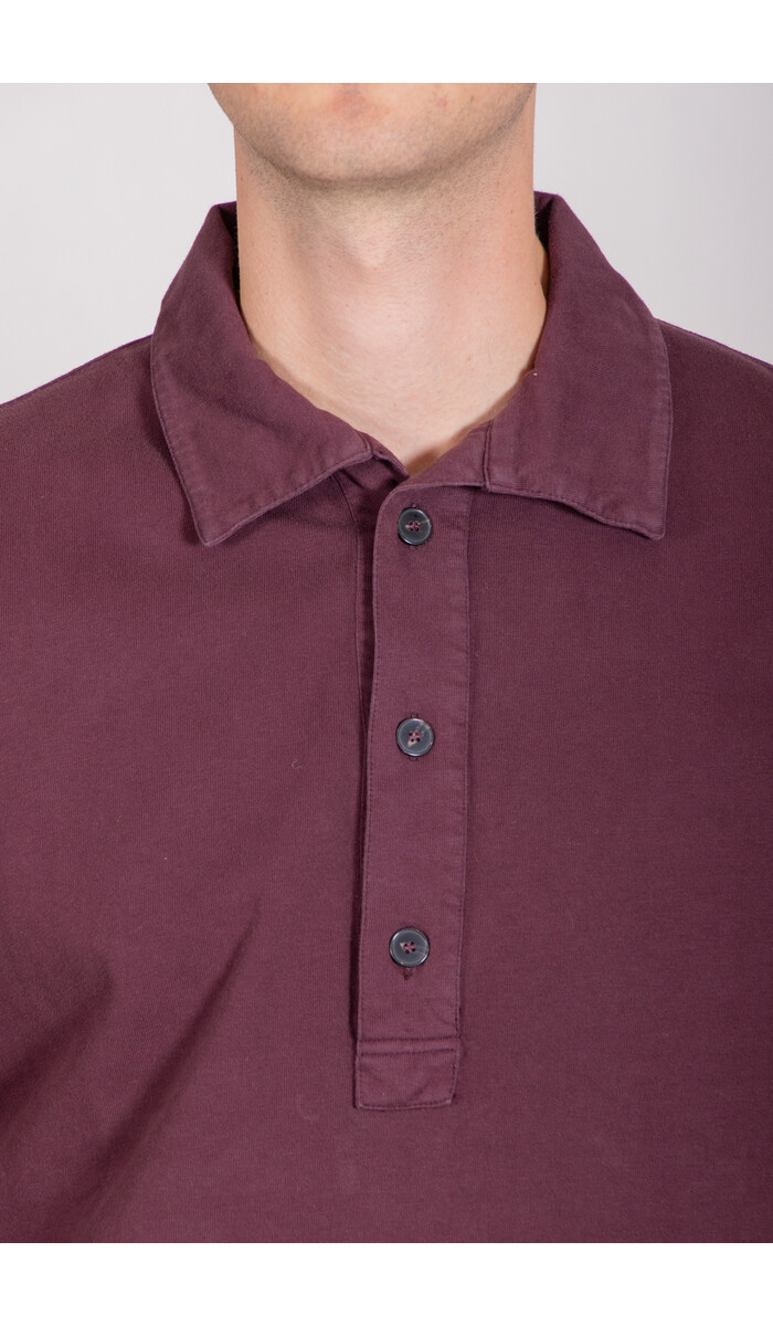 7d 7d Polo / Eder / Dolcetto
