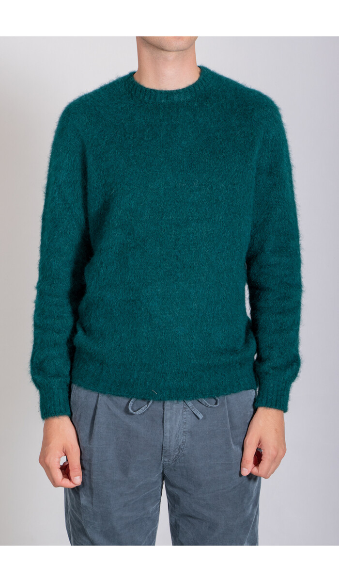 Scaglione Scaglione Sweater / URB065 / Marsh