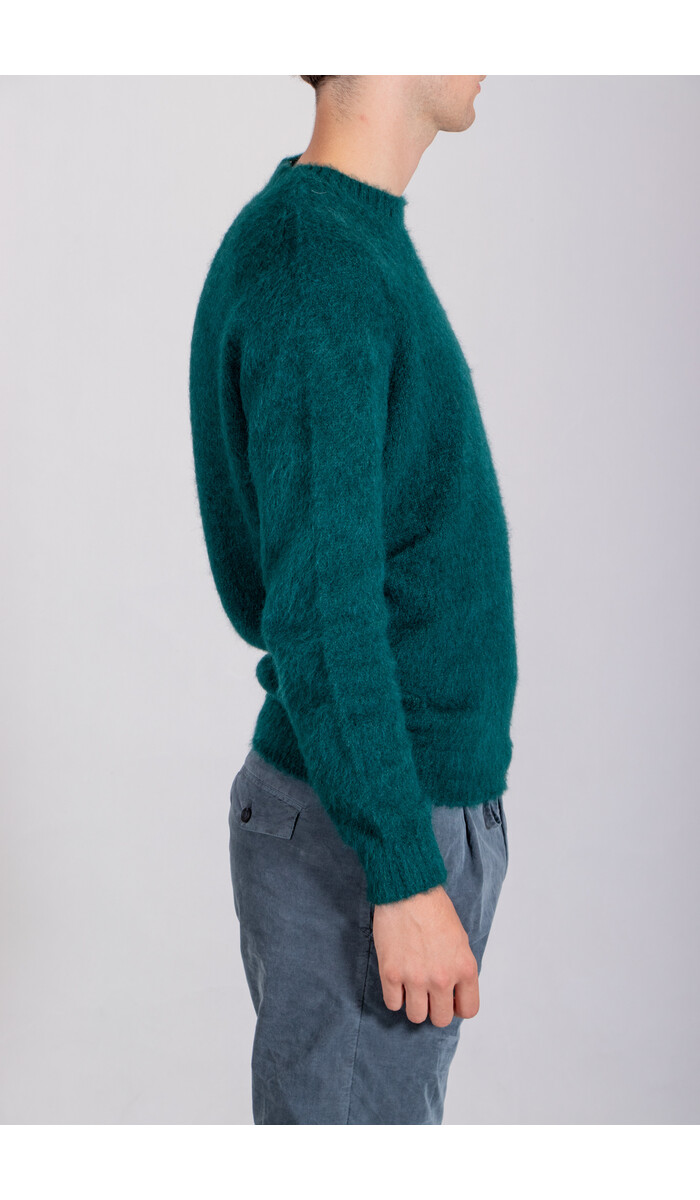 Scaglione Scaglione Sweater / URB065 / Marsh