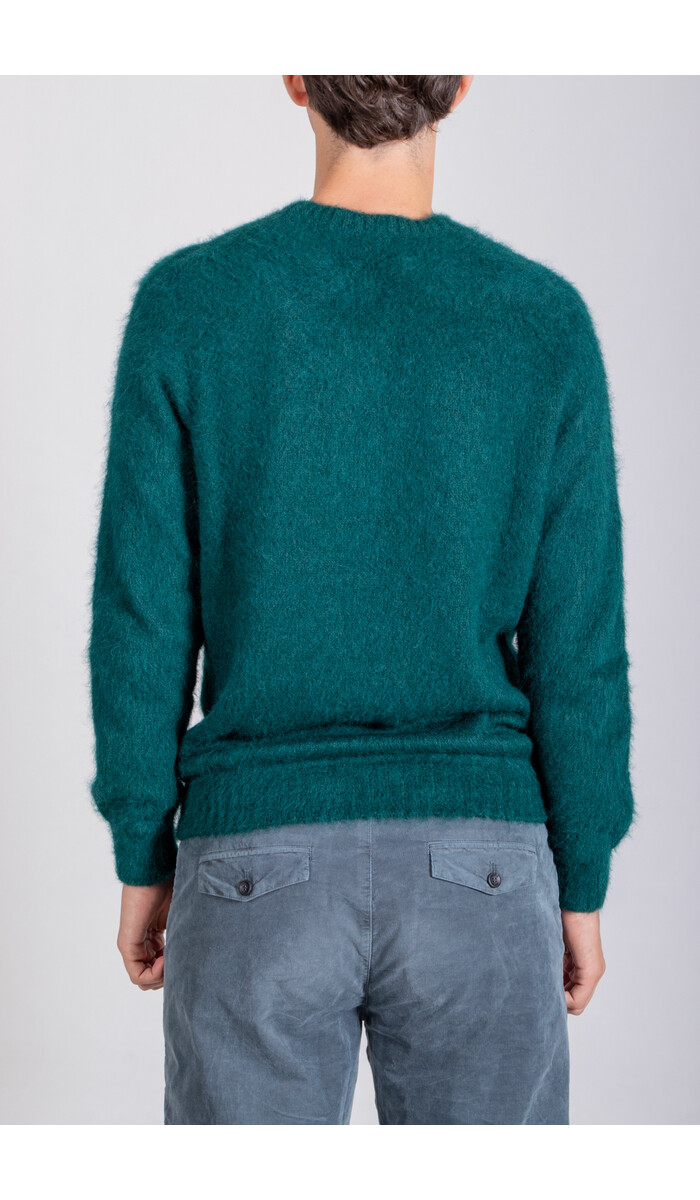 Scaglione Scaglione Sweater / URB065 / Marsh