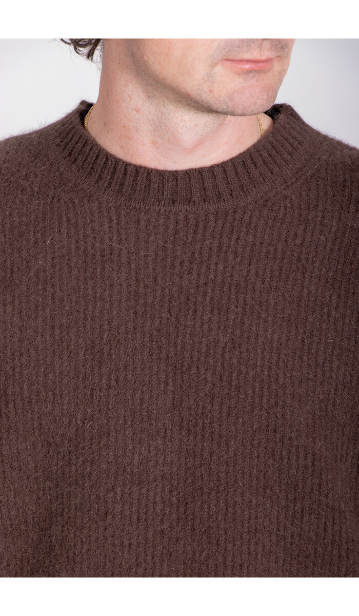 7d 7d Sweater / Navalny / Brown Bear