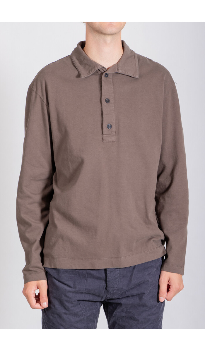 7d 7d Polo / Eder / Tobacco