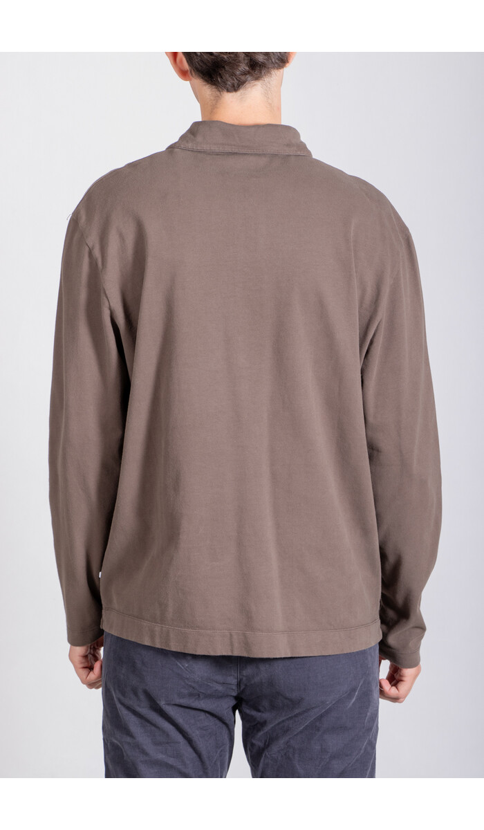 7d 7d Polo / Eder / Tobacco