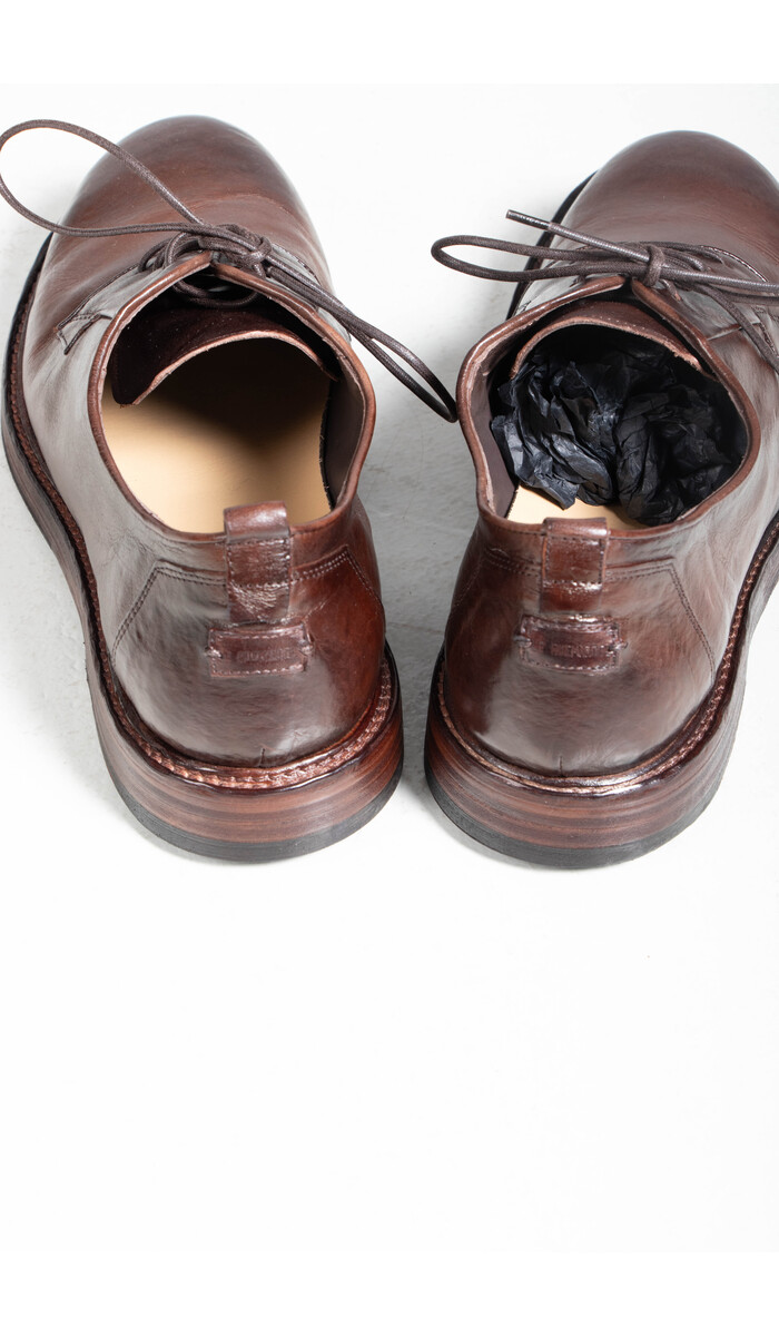 Le Ruemarcel Le Ruemarcel Schoen / Katay / Paarden