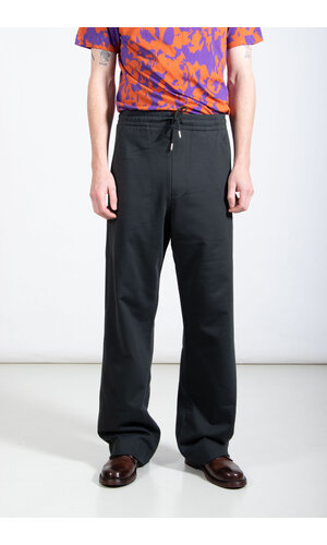 Dries van Noten Dries van Noten Broek / Hamer / Naaldboom