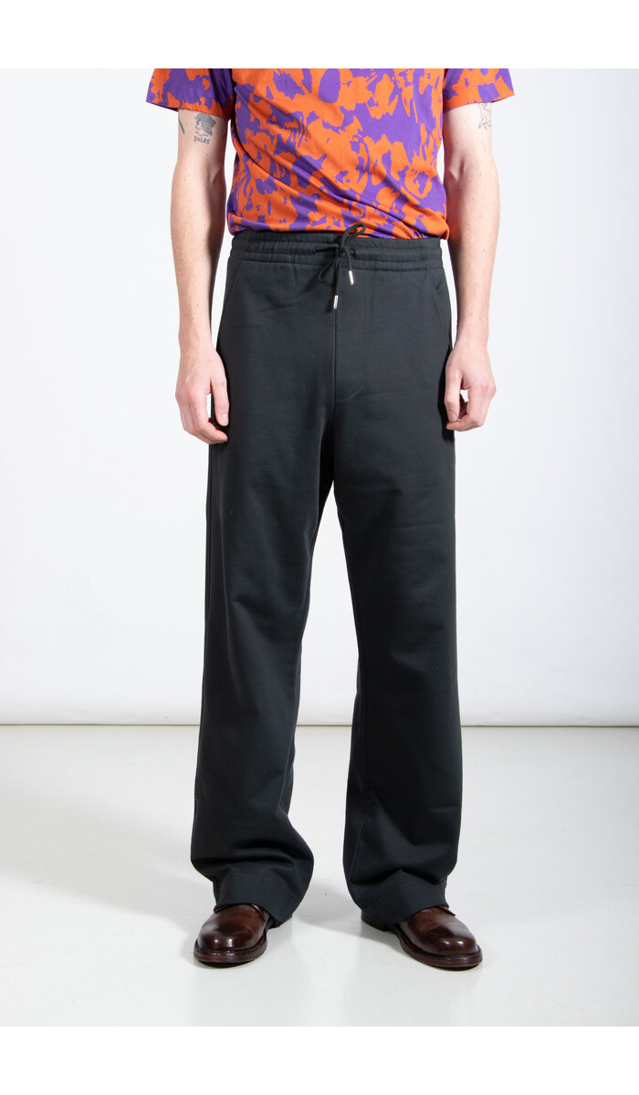 Dries van Noten Dries van Noten Broek / Hamer / Naaldboom