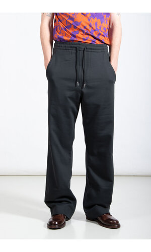 Dries van Noten Dries van Noten Broek / Hamer / Naaldboom