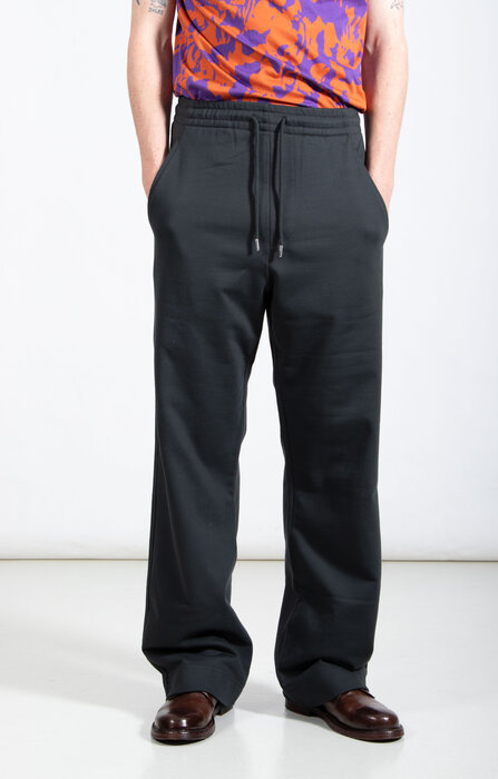 Dries van Noten Dries van Noten Hose / Hamer / Nadelbaum