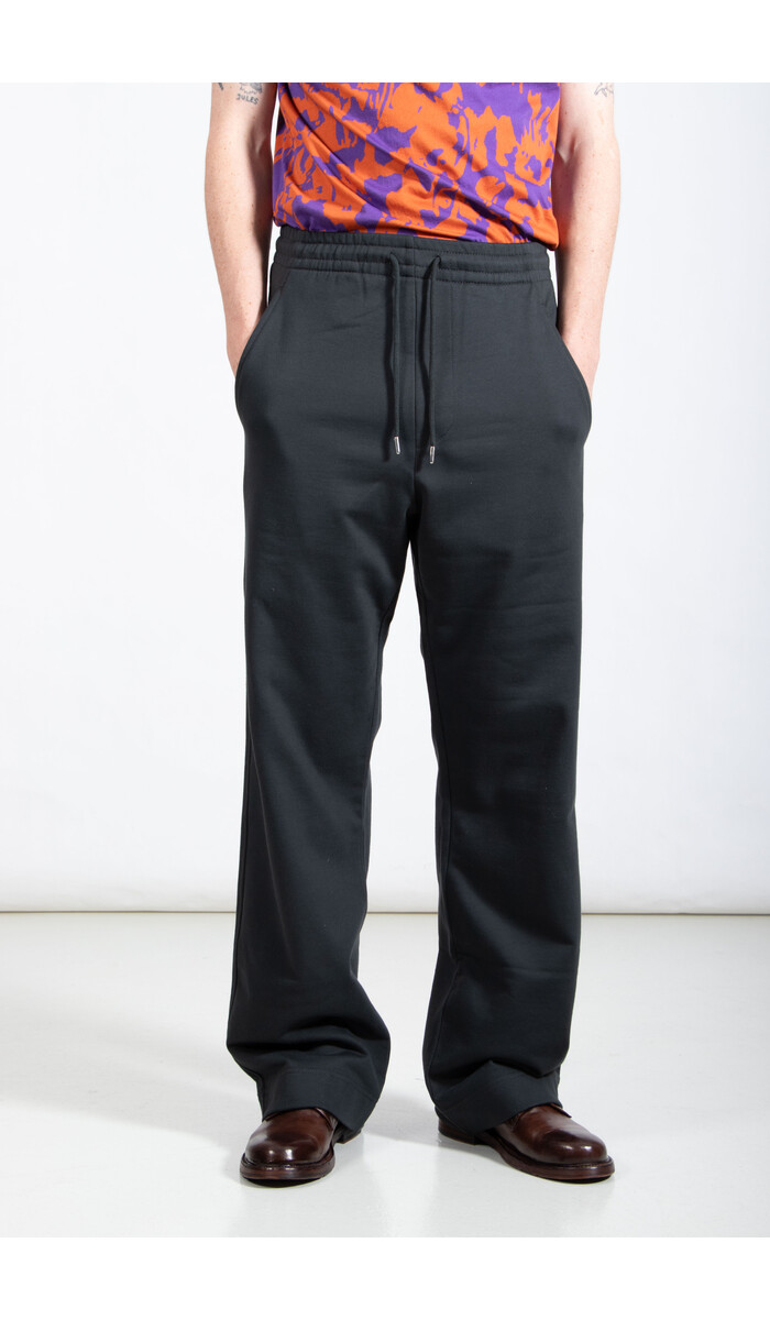 Dries van Noten Dries van Noten Broek / Hamer / Naaldboom