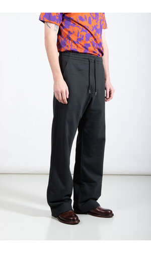 Dries van Noten Dries van Noten Broek / Hamer / Naaldboom
