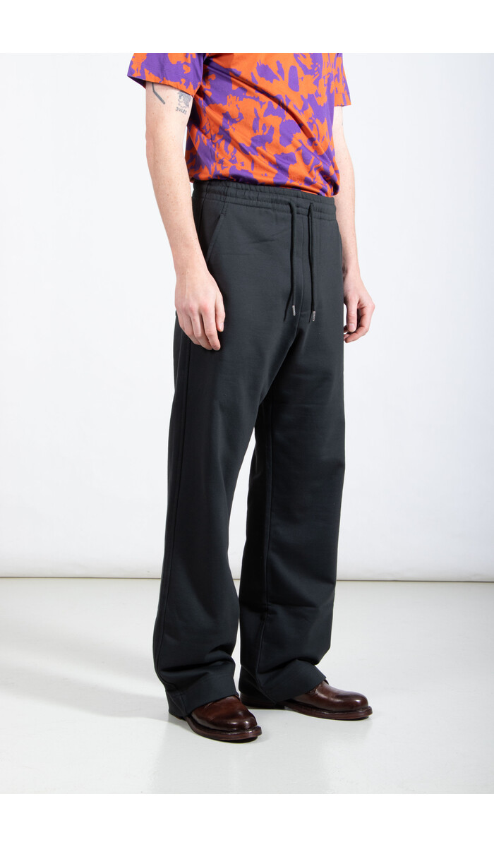 Dries van Noten Dries van Noten Broek / Hamer / Naaldboom