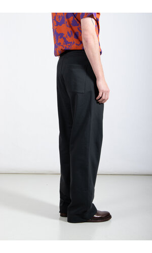 Dries van Noten Dries van Noten Broek / Hamer / Naaldboom