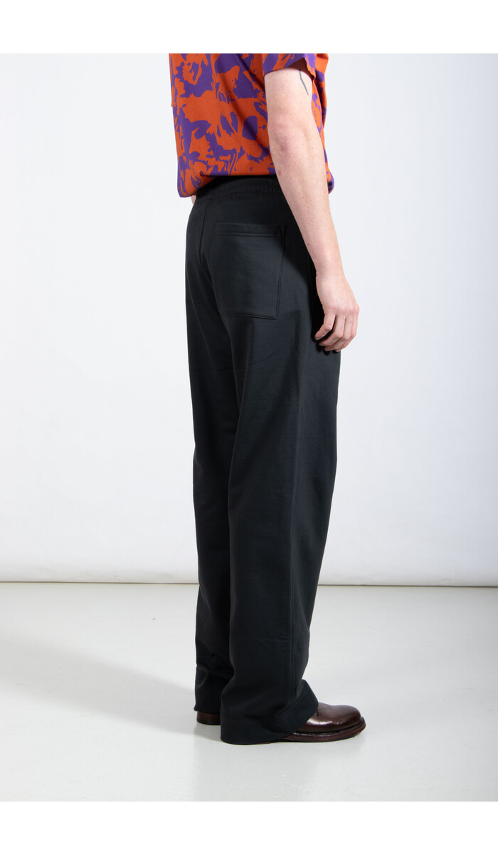 Dries van Noten Dries van Noten Broek / Hamer / Naaldboom