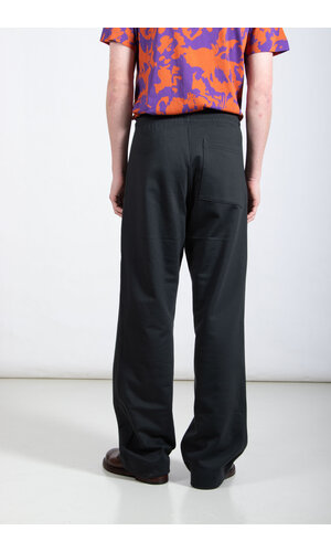 Dries van Noten Dries van Noten Broek / Hamer / Naaldboom