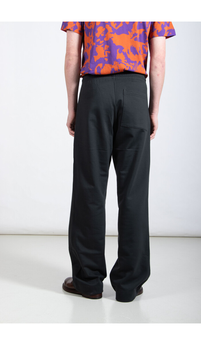 Dries van Noten Dries van Noten Broek / Hamer / Naaldboom