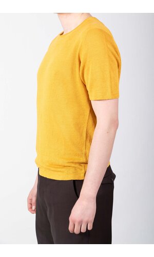 Roberto Collina Roberto Collina T-Shirt / 261MYA20021 / Sunflower