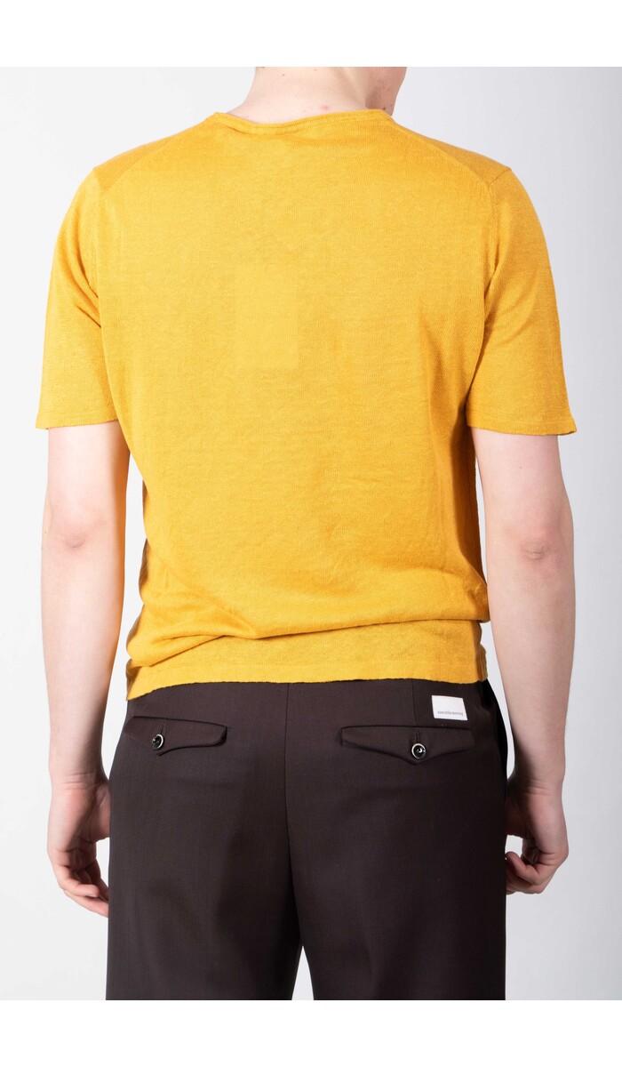 Roberto Collina Roberto Collina T-Shirt / 261MYA20021 / Sunflower