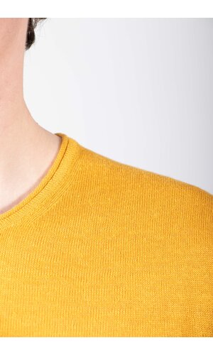 Roberto Collina Roberto Collina T-Shirt / 261MYA20021 / Sunflower