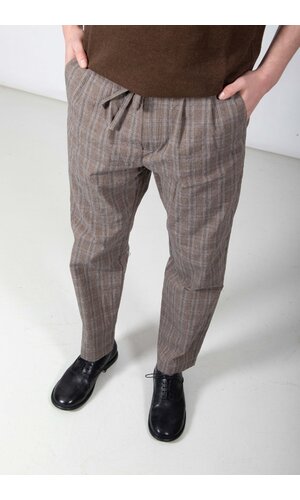 Hannes Roether Hannes Roether Trousers / Paper / Bosgrond