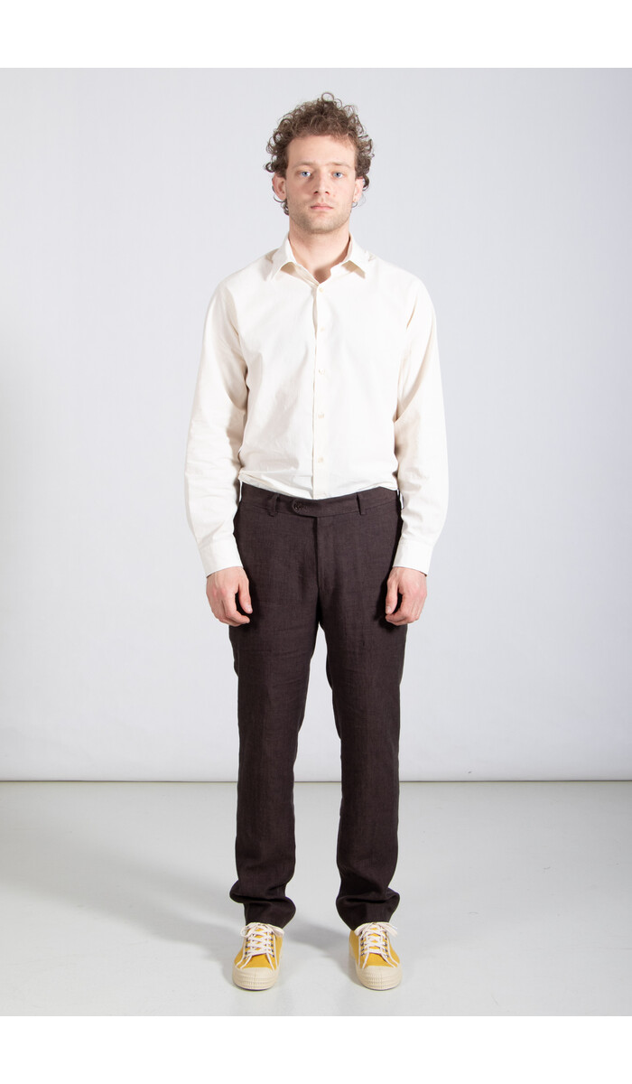 British House British House Broek / Kirk / Chocolade