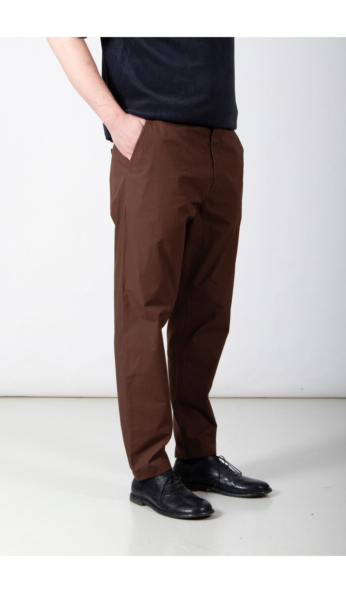 Universal Works Universal Works Broek / Military Chino / Eekhoorn