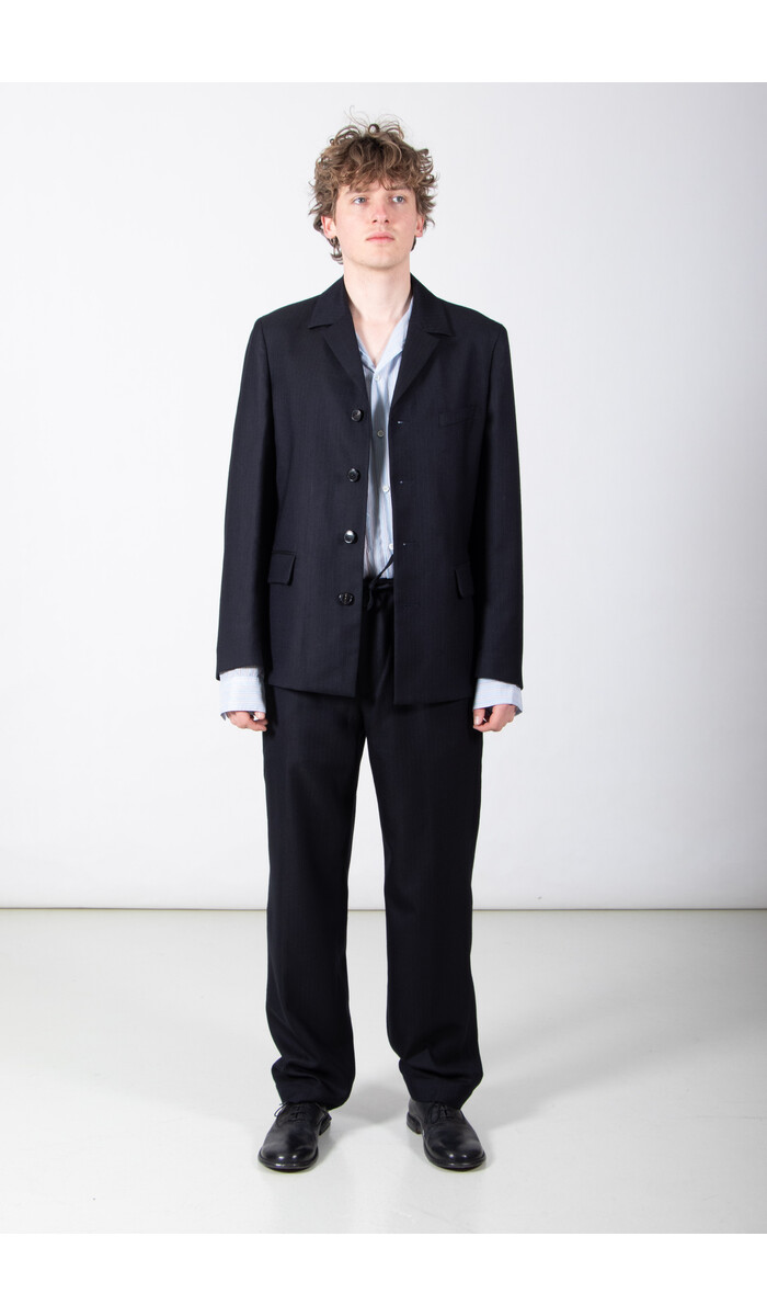 Dries van Noten Dries van Noten Blazer / Bays / Pinstripe