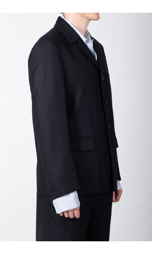 Dries van Noten Dries van Noten Blazer / Bays / Pinstripe