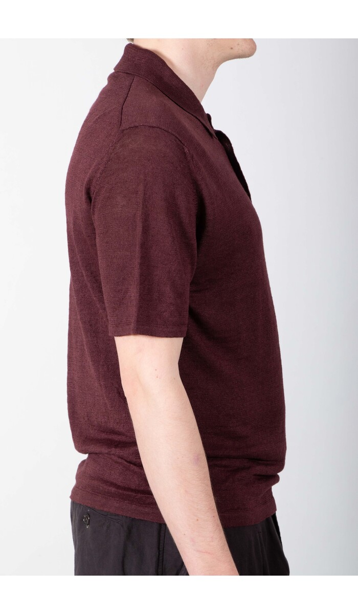 Roberto Collina Roberto Collina Polo / 261MYA20024 / Fig