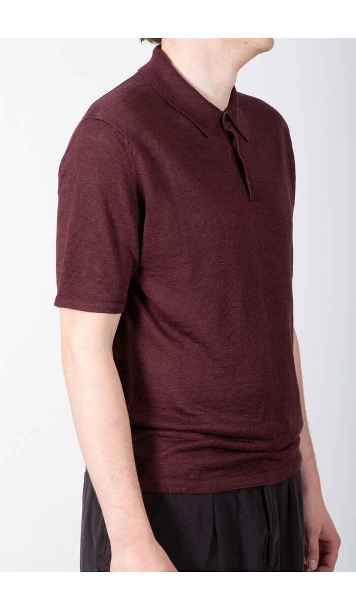 Roberto Collina Roberto Collina Polo / 261MYA20024 / Fig
